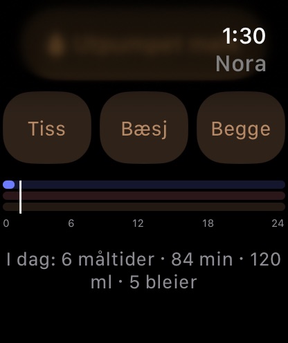 I dag: søvn, måltider, bleier